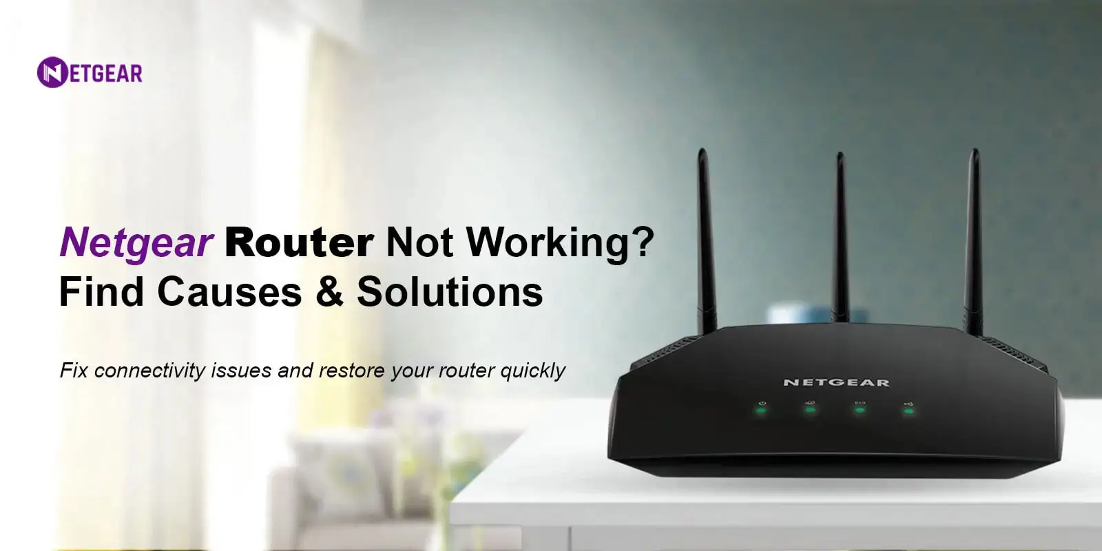 Netgear wifi router not working